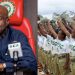 Abia Governor Alex Otti raises NYSC corpers’ monthly allowance to ₦50,000