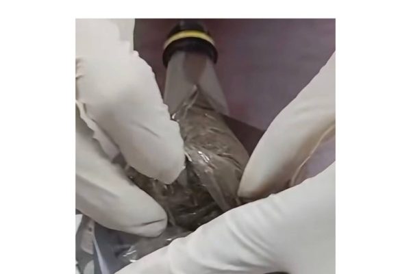 NDLEA Intercepts Consignment of Illicit Drugs hidden in Fearless Energy Drink Bottles